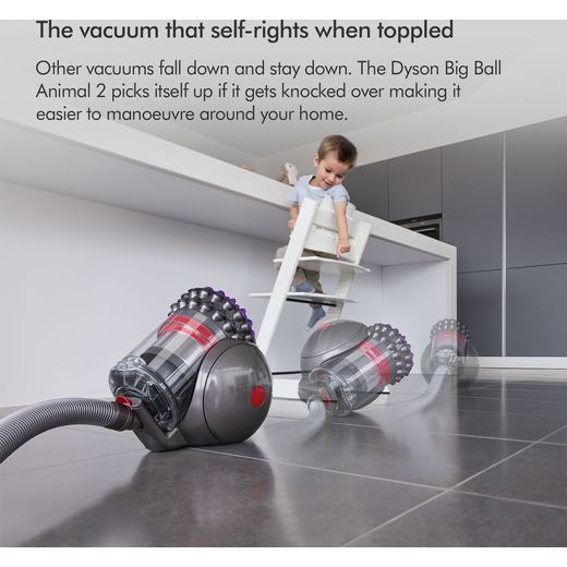 Dyson Big Ball Animal 2 Cylinder Vacuum Cleaner - Annotation - Self rights shot